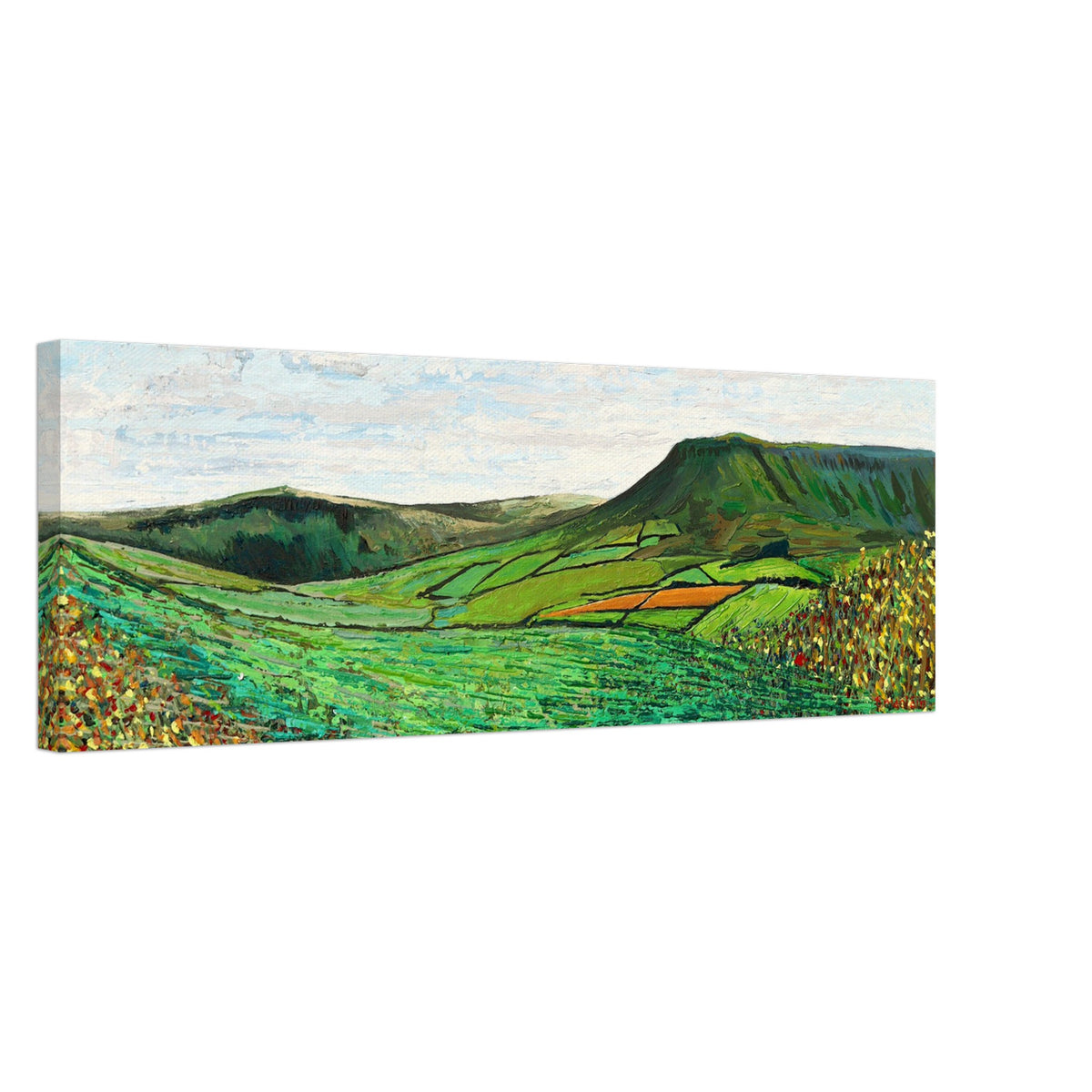 Green Glens of Antrim Canvas Art Print by Ó Maoláin – framed print close-up | Buy Irish Art