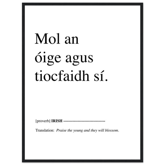 Mol an óige agus tiocfaidh sí, Irish proverb meaning praise the young and they will blossom, black frame