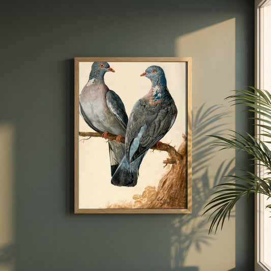 Two Wood Pigeons framed print in a natural oak frame on a dark green wall beside a window, dappled plant shadow