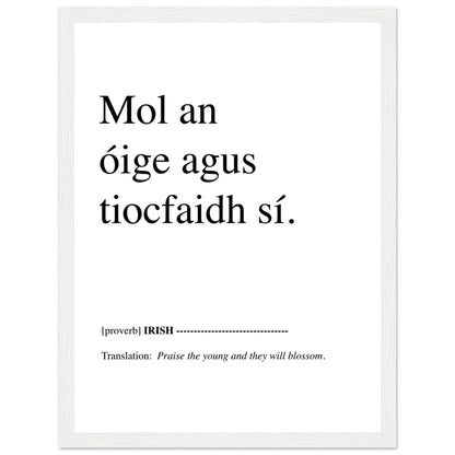 Praise the young and they will blossom Irish Proverb Framed Print – view 6 | Buy Irish Art