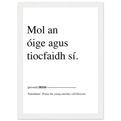Praise the young and they will blossom Irish Proverb Framed Print – detail view | Buy Irish Art