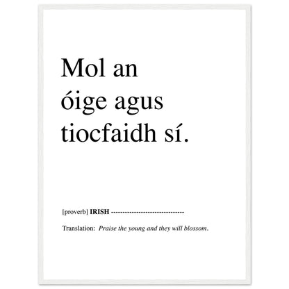 Praise the young and they will blossom Irish Proverb Framed Print – size comparison view | Buy Irish Art