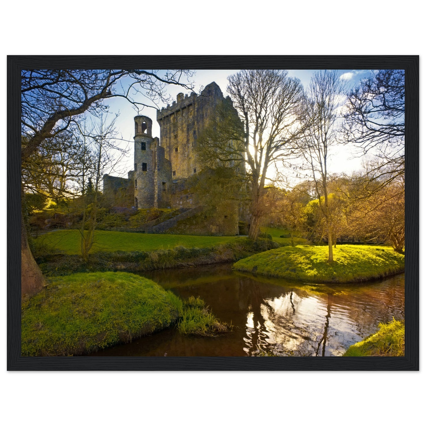 Blarney Castle framed print capturing Ireland's enchantment. Iconic fortress with the legendary Blarney Stone, symbolizing Irish charm and folklore. Elegantly framed, this print brings the historic and magical essence of Blarney Castle into your home decor.