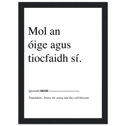 Praise the young and they will blossom Irish Proverb Framed Print – view 7 | Buy Irish Art