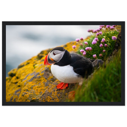 Puffin Photographic Print – size comparison view | Buy Irish Art