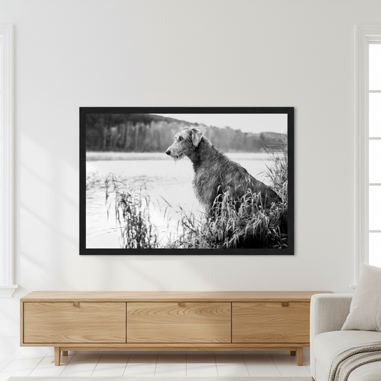 Irish Wolfhound Framed Print | Black & White Wall Art | Irish Heritage Gift – Irish wall art print | Buy Irish Art