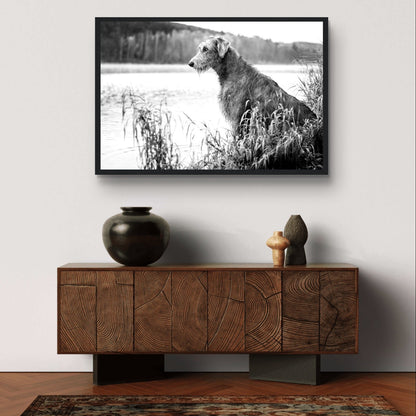 60x90cm Irish Wolfhound framed print in modern living room — monochrome wall art
