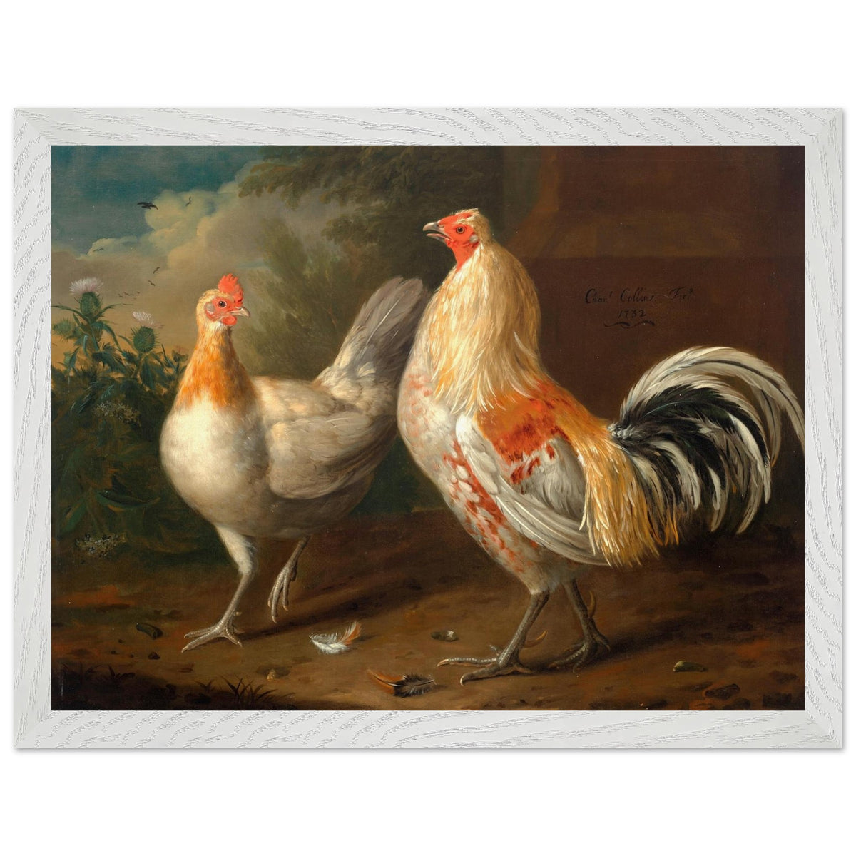 A Sporting Cockerel and Hen by Charles Collins in a white wood frame