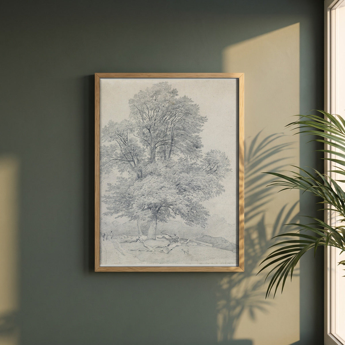 A Wych Elm at Hawley, Hampshire framed print in a natural oak frame on a dark green wall beside a window, dappled plant shadow