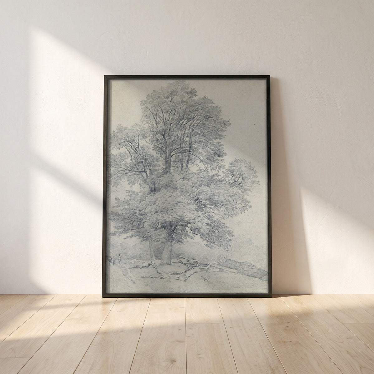 A Wych Elm at Hawley, Hampshire framed print in a black frame leaning against a white plaster wall on oak floorboards in morning light