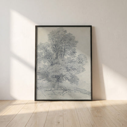 A Wych Elm at Hawley, Hampshire framed print in a black frame leaning against a white plaster wall on oak floorboards in morning light