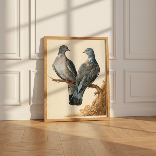 Two Wood Pigeons – Charles Collins | Irish Art Print
