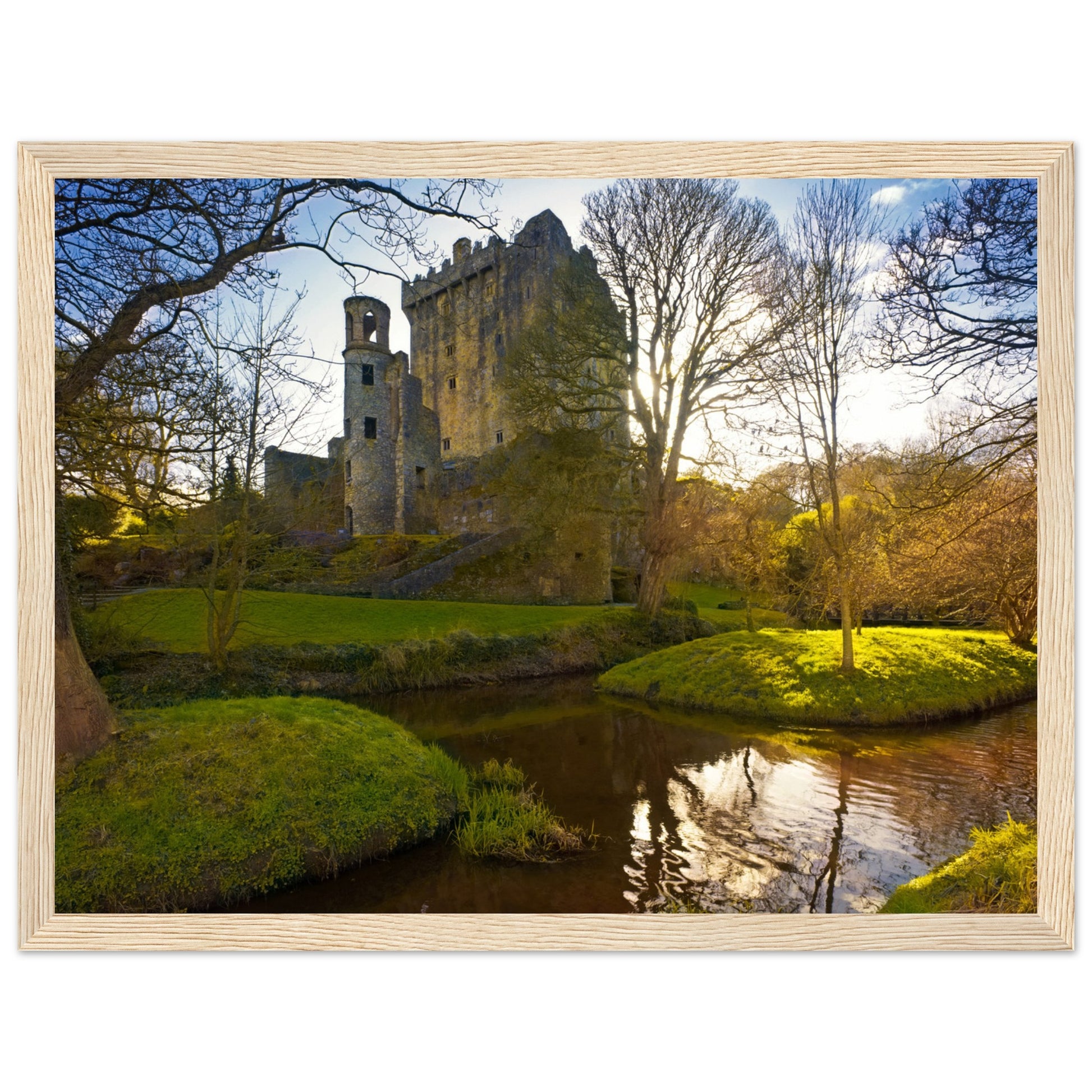 Blarney Castle framed print: Iconic Irish fortress, home to Blarney Stone. Meticulously crafted, transports you to historic grounds where myths intertwine. Delightful addition to home decor, bringing Ireland's spirit. Immerse in Blarney Castle's magic.