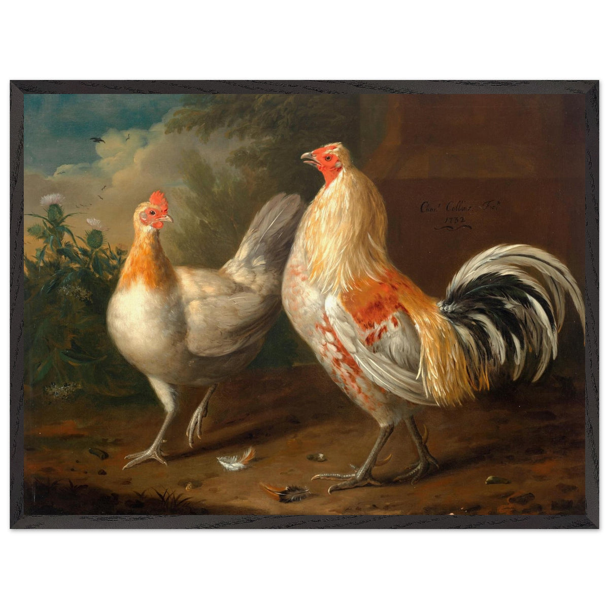 Charles Collins A Sporting Cockerel and Hen print in a dark wood frame, straight-on