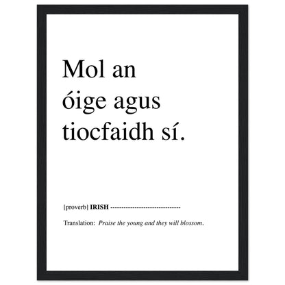 Praise the young and they will blossom Irish Proverb Framed Print – view 8 | Buy Irish Art
