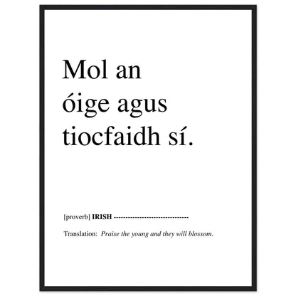 Praise the young and they will blossom Irish Proverb Framed Print – Irish wall art print | Buy Irish Art