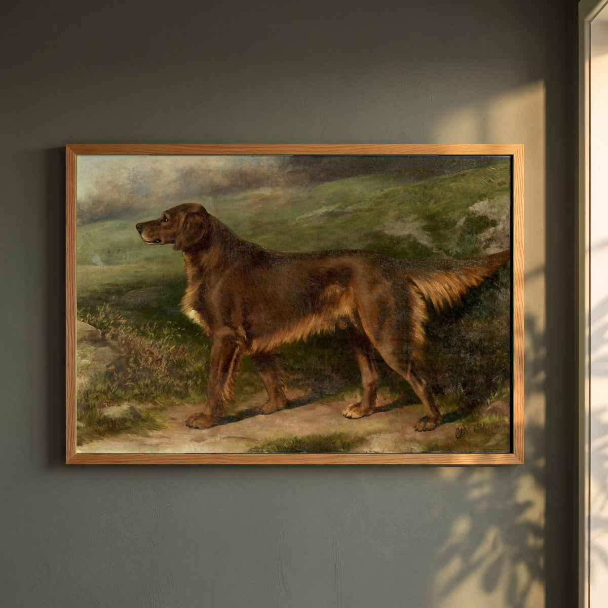 Garryowen, Champion Irish Red Setter framed print in a natural oak frame on a dark green wall beside a window, dappled plant shadow