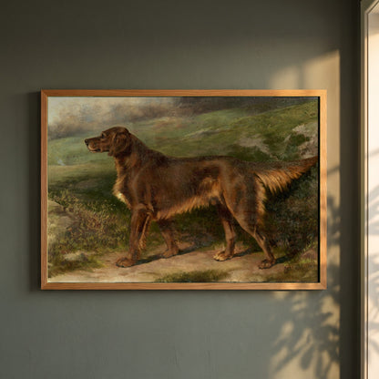 Garryowen, Champion Irish Red Setter framed print in a natural oak frame on a dark green wall beside a window, dappled plant shadow