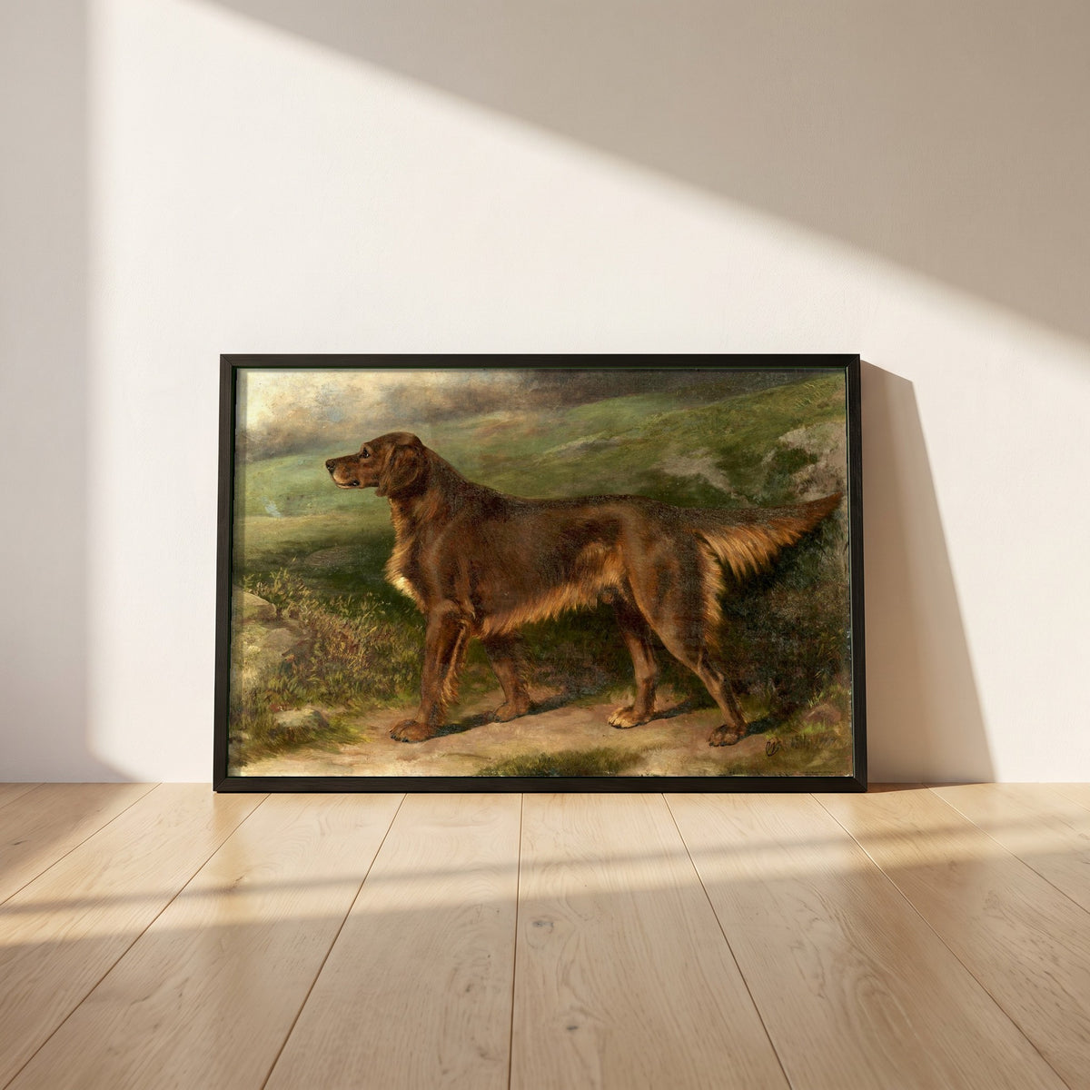 Garryowen, Champion Irish Red Setter framed print in a black frame leaning against a white plaster wall on oak floorboards in morning light