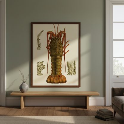Crustacea I by Frederick McCoy displayed in an elegant Irish period-home living room